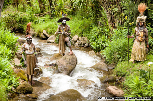 Avis Papua New Guinea Avis Papua New Guinea
